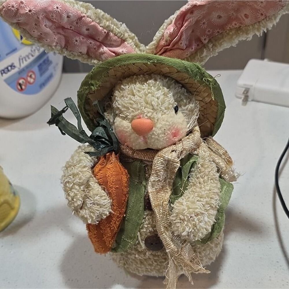 Plush Bunny Rabbit Stuffed Animal Straw Hat Green Vest Ribbon & Carrot Small